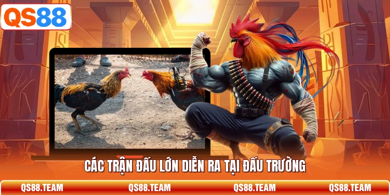 Các trận đấu lớn diễn ra tại đấu trường