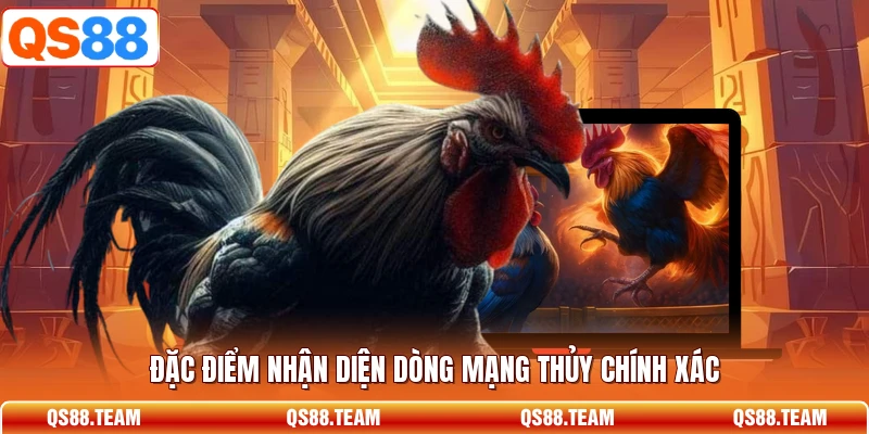 Đặc điểm nhận diện dòng mạng thủy chính xác
