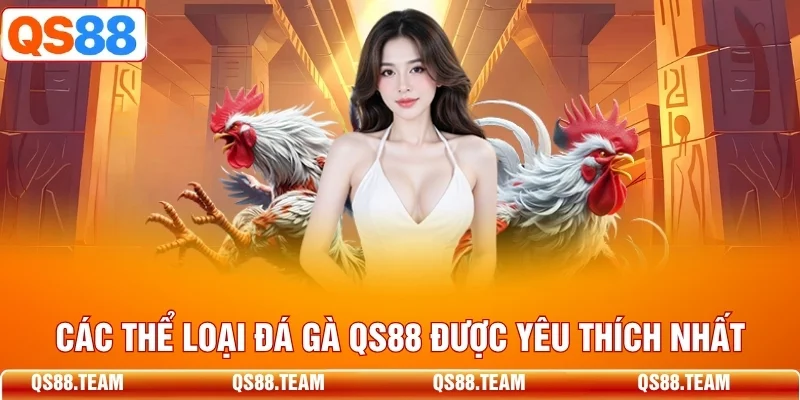 Các thể loại đá gà QS88 được yêu thích nhất